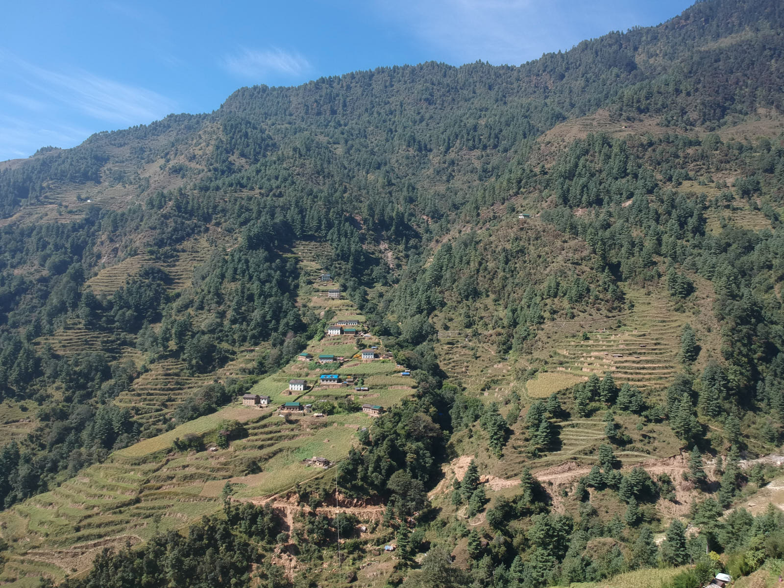 Ghunsa