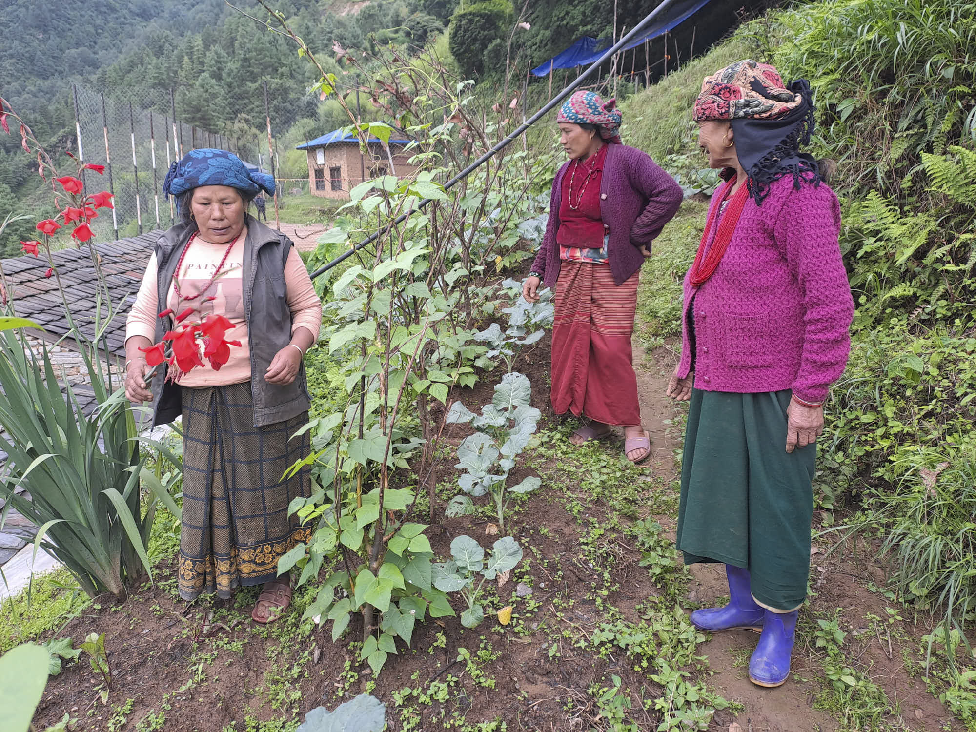 The women in Ghunsa..